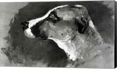 Framed Head of a Dog with Short Ears, 1879 Print