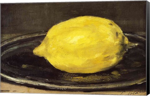 Framed Lemon, 1880 Print