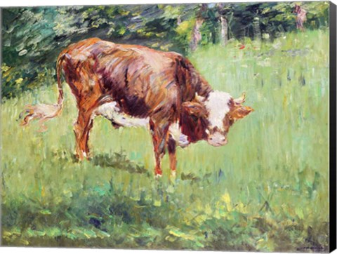 Framed Young Bull in a Meadow, 1881 Print