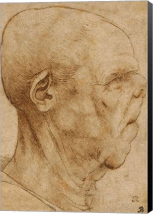 Framed Caricature of the head of an old man, in profile to the right, c.1507 Print