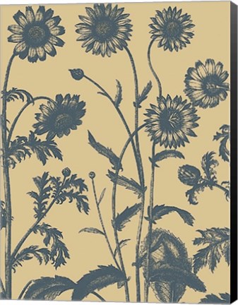 Framed Chrysanthemum 1 Print