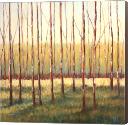 Framed Grove of Trees Print