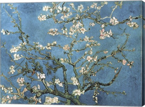 Framed Almond Blossom, 1890 Print