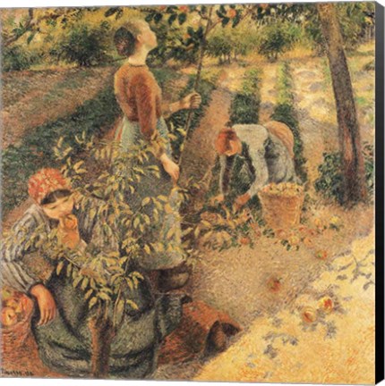 Framed Apple Pickers, 1886 Print