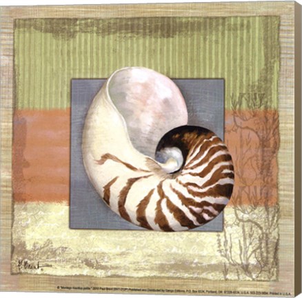 Framed Montego Nautilus- petite Print