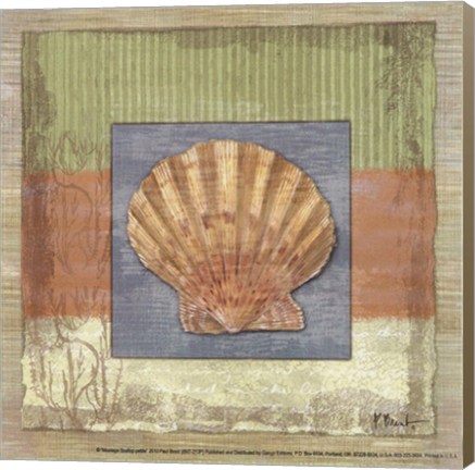 Framed Montego Scallop- petite Print