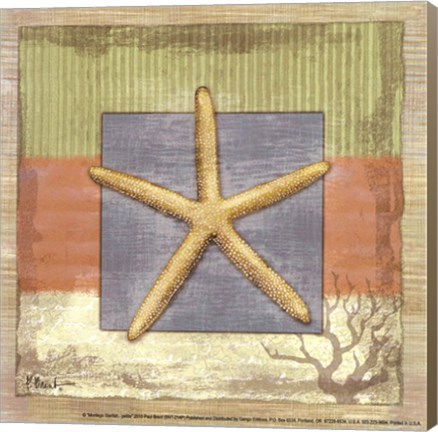 Framed Montego Starfish- petite Print