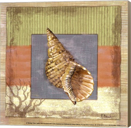 Framed Montego Triton petite Print