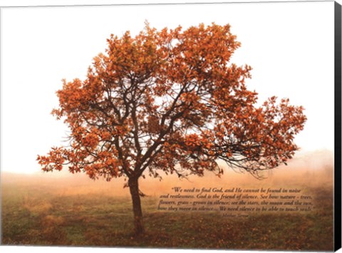 Framed Silent Oak Print