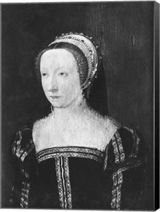 Framed Princess of Conde, 1550 Print