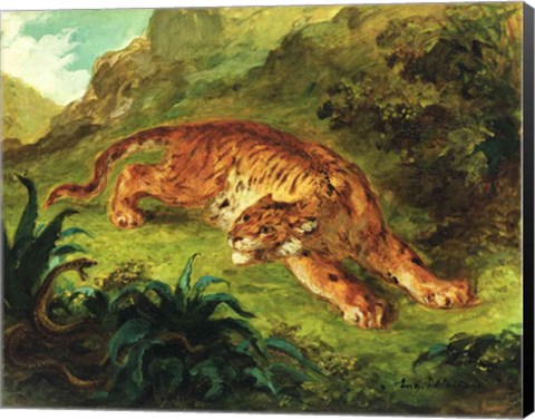 Framed Tiger and Snake, 1858 Print