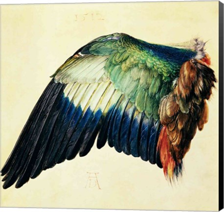 Framed Wing of a Blue Roller, 1512 Print