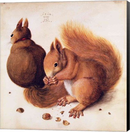 Framed Squirrels, 1512 Print