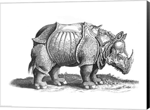 Framed Rhinoceros Print