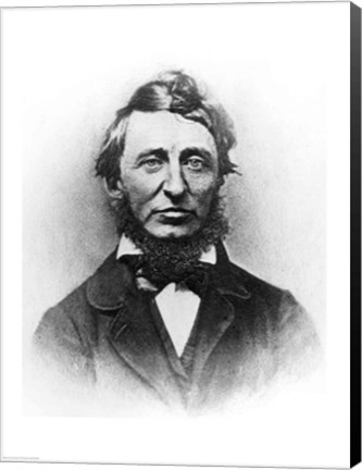 Framed Henry Thoreau Print