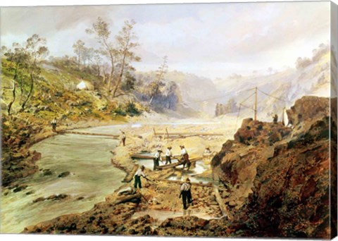 Framed &#39;Fortyniners&#39; washing gold from the Calaveres River, California, 1858 Print