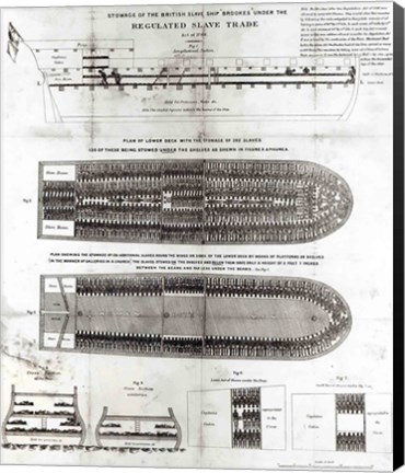 Framed Stowage of the British Slave Ship &#39;Brookes&#39; Under the Regulated Slave Trade Act of 1788 Print