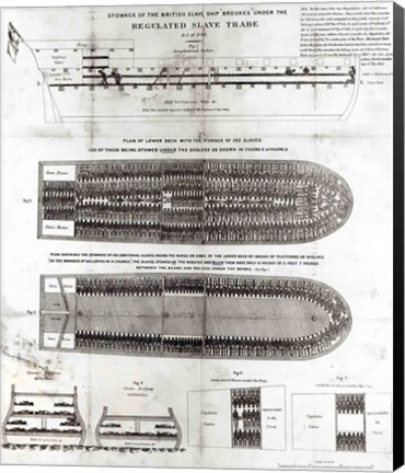 Framed Stowage of the British Slave Ship &#39;Brookes&#39; Under the Regulated Slave Trade Act of 1788 Print