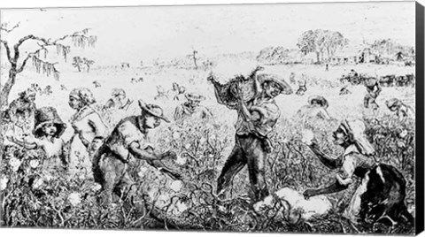 Framed Picking Cotton on a Southern Plantation Print