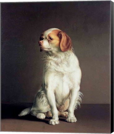 Framed Portrait of a King Charles Spaniel Print