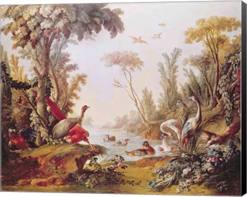 Framed Lake with geese, storks, parrots and herons, from the Salon of Gilles Demarteau Print