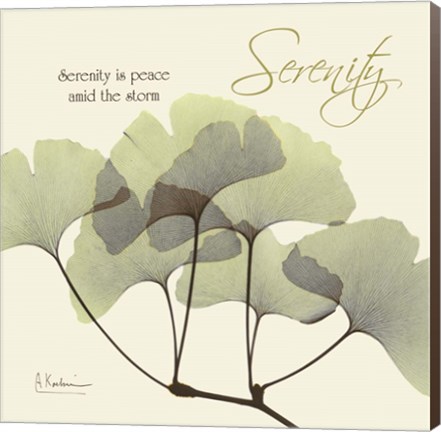 Framed Serenity Gingko Print