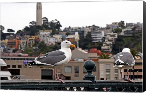 Framed San Francisco Seen From the Bay Print