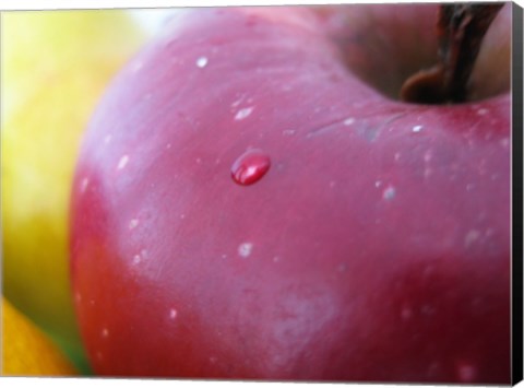 Framed Apple Closeup Print