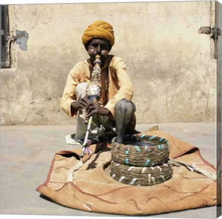 Framed Snake Charmer Jaipur India Print