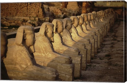 Framed Avenue of the Sphinxes Karnak Temple Luxor Egypt Print