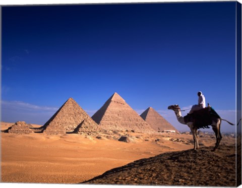 Framed Riding a camel near pyramids, Giza Pyramids, Giza, Egypt Print