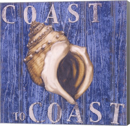 Framed Coastal USA Conch Print
