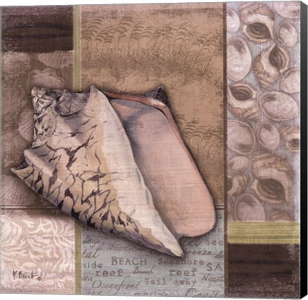 Framed Santa Rosa Shell I Print