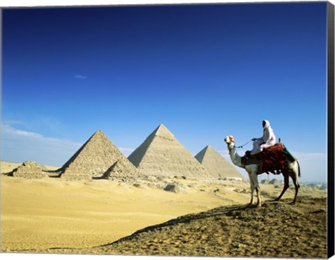 Framed Man riding a camel near the pyramids, Giza, Egypt Print