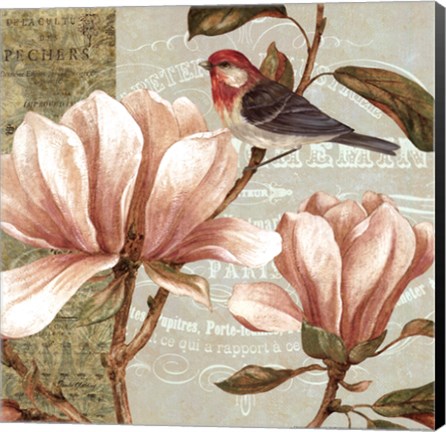 Framed Magnolia Collage I Print