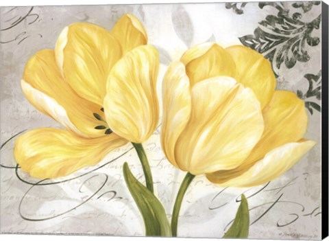 Framed Colori Yellow II Print