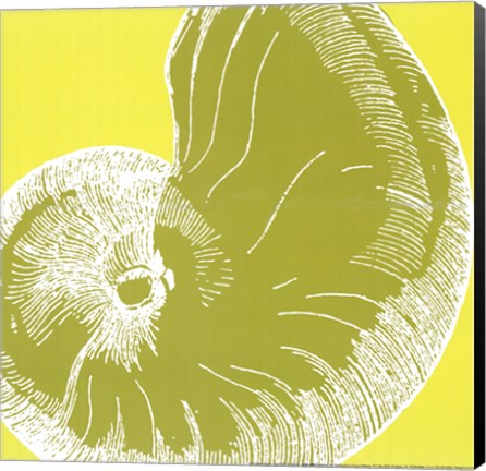 Framed Graphic Shell II Print