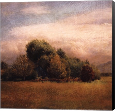 Framed Autumn Horizon I Print