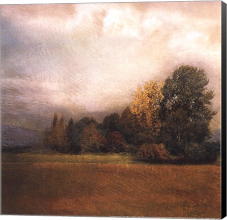 Framed Autumn Horizon II Print