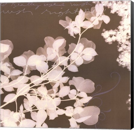 Framed Wishes &amp; Leaves I Print