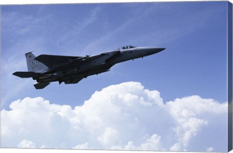 Framed U.S. Air Force F-15 Print