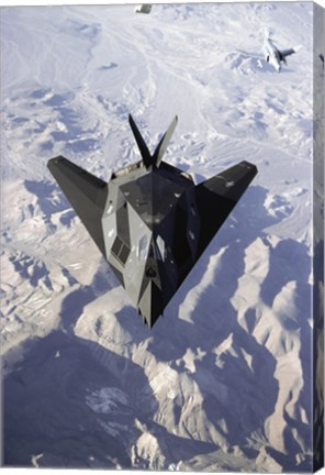 Framed US Air Force F-117 Stealth Fighter Print