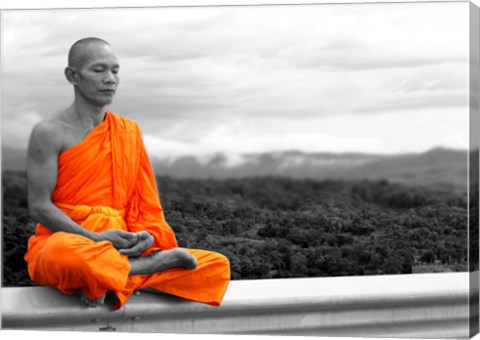 Framed Abbot of Watkun Meditating Print