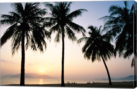 Framed Silhouette of palm trees on a beach during sunrise, Nha Trang Beach, Nha Trang, Vietnam Print