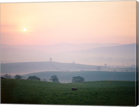 Framed Sunrise near Hawes, Yorkshire Dales National Park, North Yorkshire, England Print