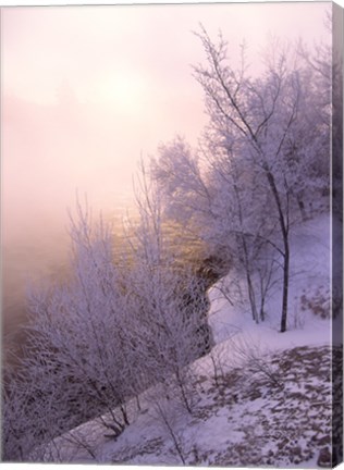 Framed River covered with fog at sunrise Print