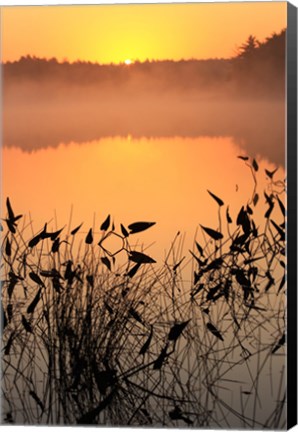 Framed Sunrise over a lake Print