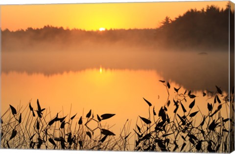 Framed Sunrise over a lake Print