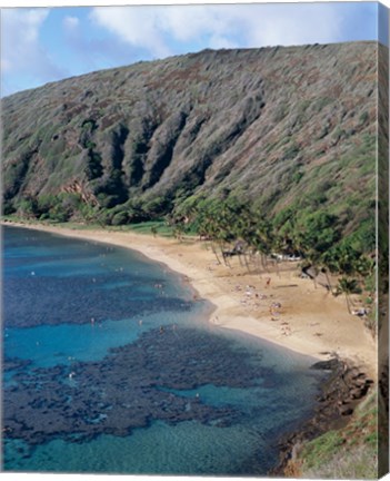 Framed High angle view of a bay, Hanauma Bay, Oahu, Hawaii, USA Vertical Print