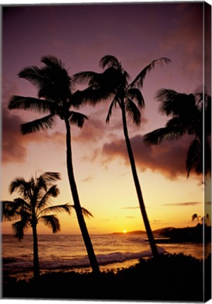 Framed Silhouette of palm trees at sunset, Kauai, Hawaii, USA Print